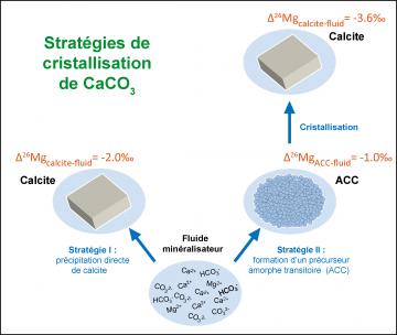 ACC-EPSL-fig