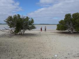 De retour des îles éparses...