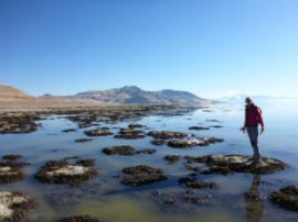 Le rôle des microbes dans la formation des roches