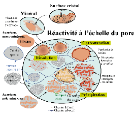 Schéma des processus qui impactent la réactivité et le transport des éléments chimiques, depuis la surface du cristal jusqu’à celle du pore.
