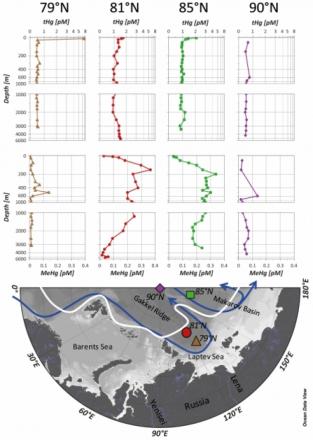 Profils du mercure total (tHg) et du méthyle-mercure (MeHg) en picomoles par litre (pM) aux stations de la mer de Laptev (triangles bruns), du bassin d'Amundsen (points rouges), du bassin de Makarov (carrés verts) et du pôle Nord (diamants violets). La ligne blanche indique l'étendue de la glace de mer durant l'échantillonnage et les lignes bleues la circulation océanique générale (d’après Rudels 2012).