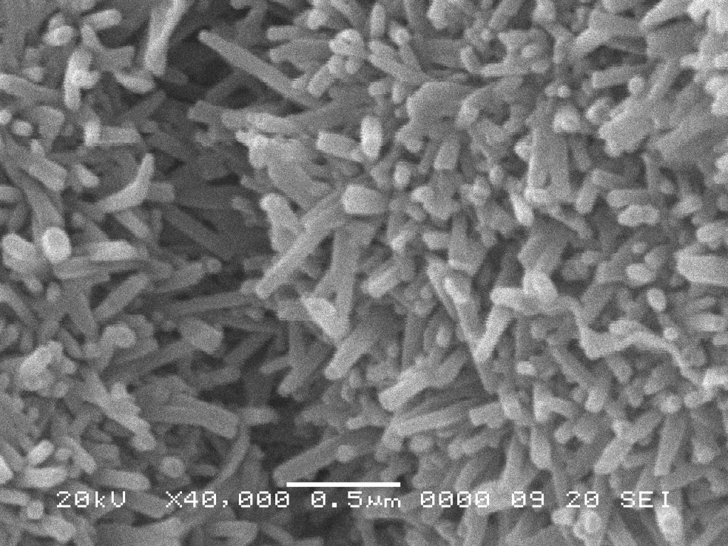 Microscopie électronique à balayage Géosciences Environnement Toulouse