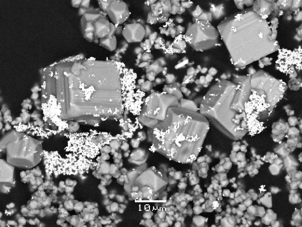 Une photo obtenue par microscopie électronique à balayage de nano- et microparticules d’or (points brillants) qui se sont déposées, avec des cristaux de pyrite de différente taille (gris), à partir d’une solution hydrothermale contenant du soufre et de l’or dans une expérience en laboratoire.