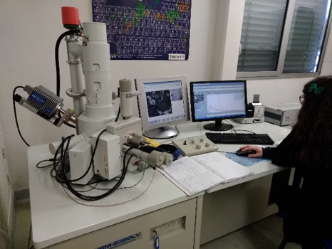 Microscope électronique à balayage haute résolution - Plateforme